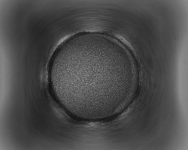 X0000084540584200703021446