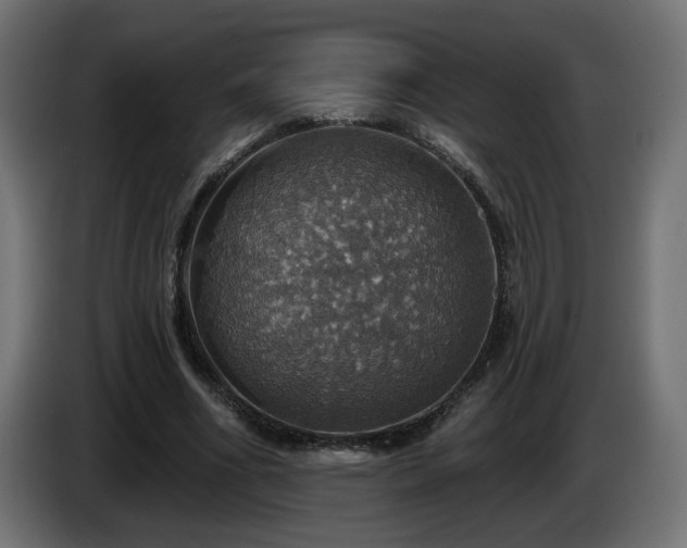 X0000084540586200703021446