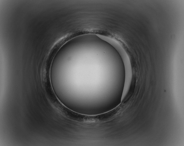 X0000084540587200703021446