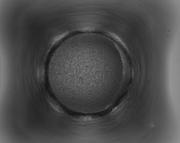 X0000084540588200703021446