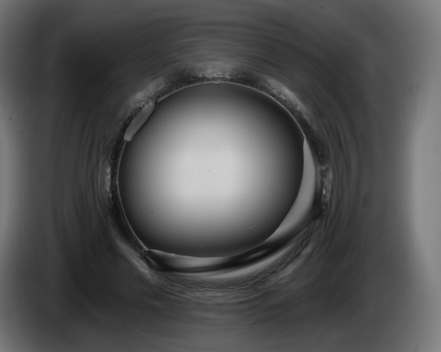 X0000084540589200703021446