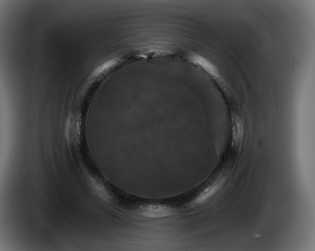 X0000084540590200703021445