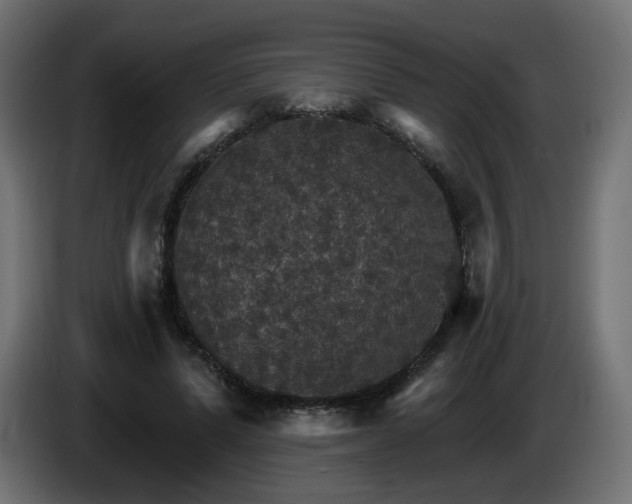 X0000084540591200703021445