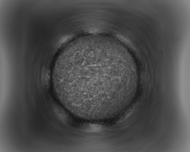 X0000084540592200703021445