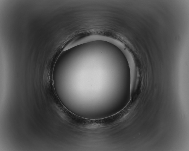 X0000084540593200703021445