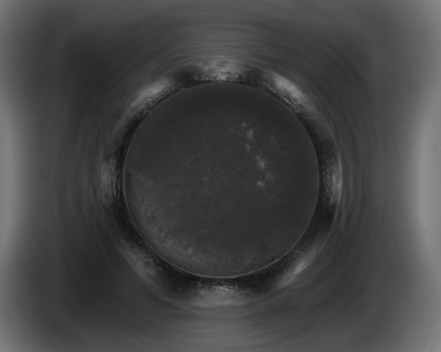 X0000084540594200703021445