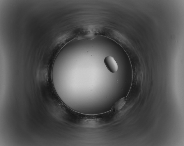 X0000084540595200703021445