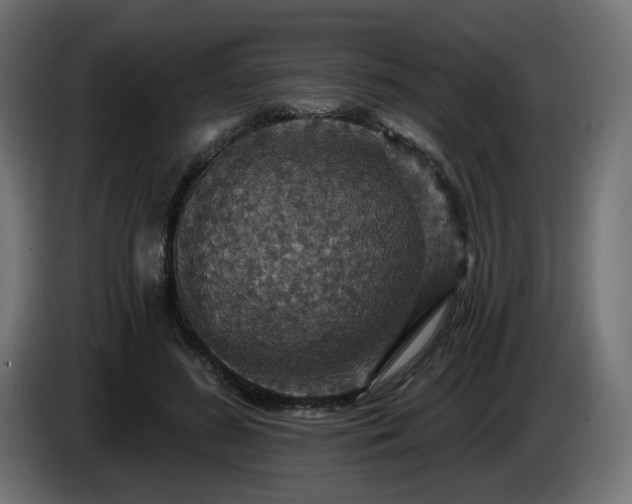 X0000084540596200703021445