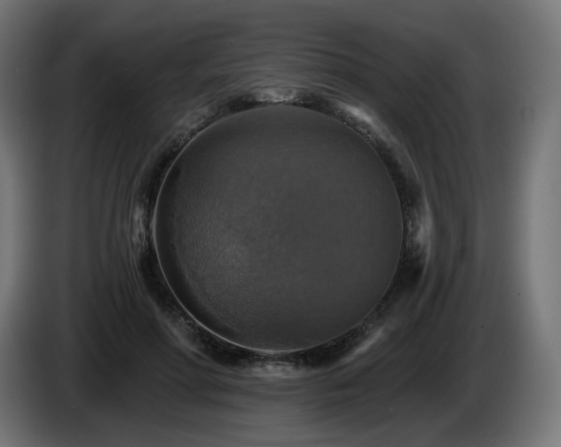 X0000084540598200703021445