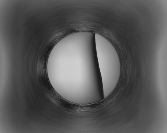 X0000084540599200703021445