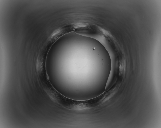 X0000084540600200703021445