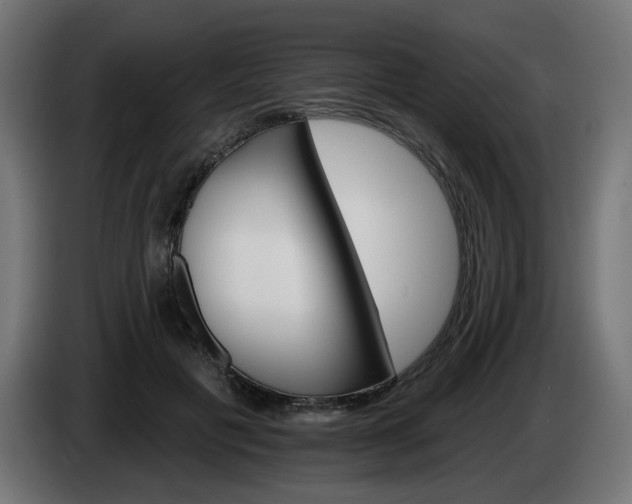 X0000084540601200703021445