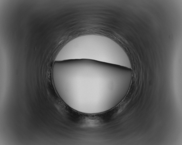 X0000084540603200703021445