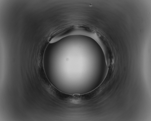 X0000084540604200703021445