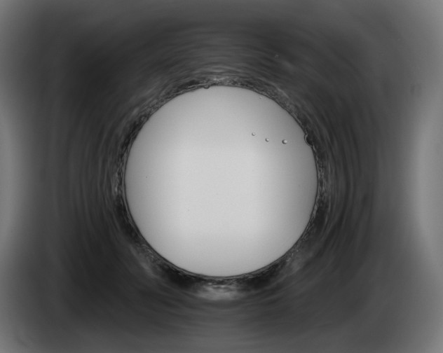 X0000084540606200703021445