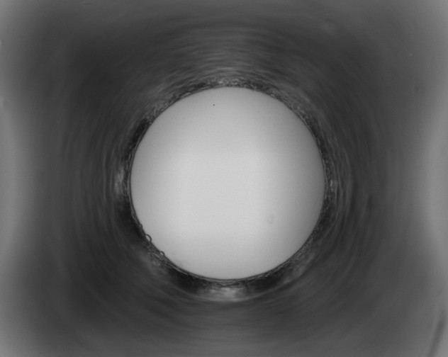 X0000084540610200703021445