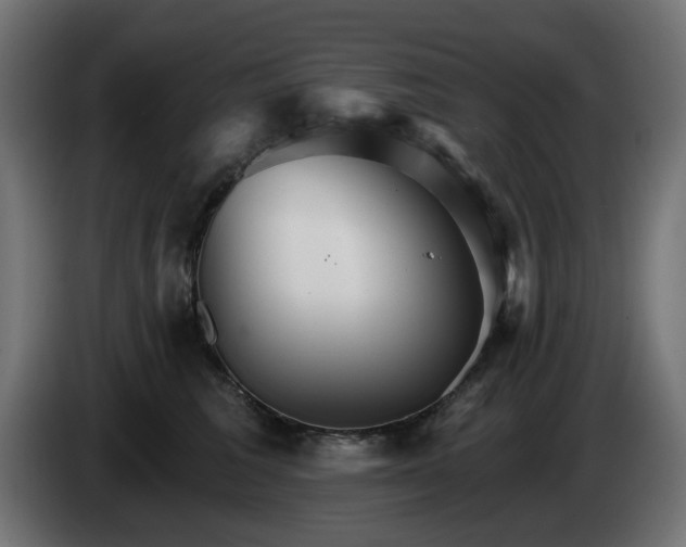 X0000084540613200703021445