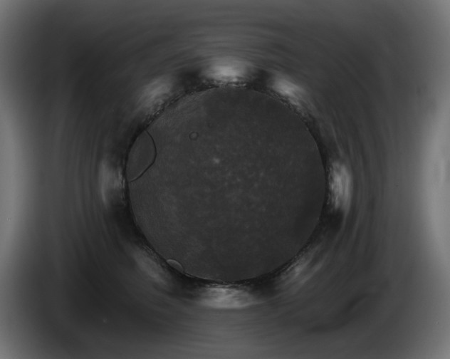 X0000084540614200703021445