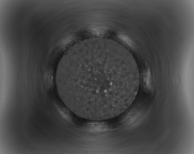 X0000084540615200703021445