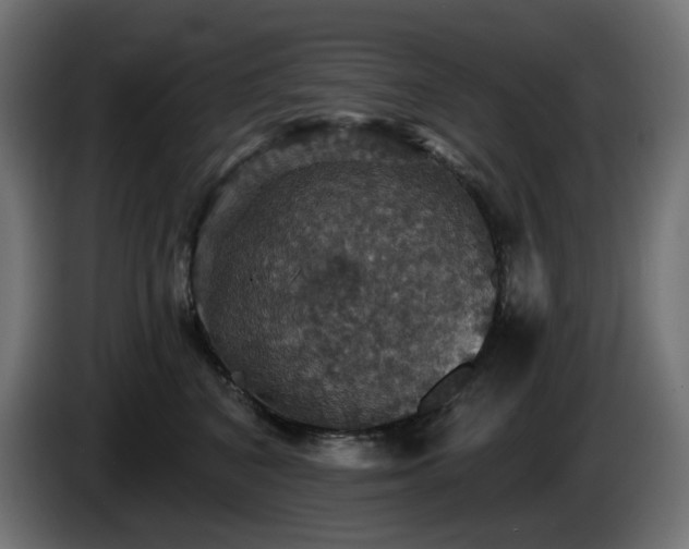 X0000084540616200703021445