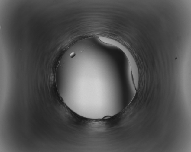 X0000084540617200703021445