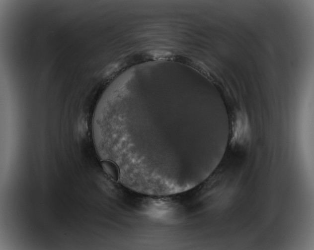 X0000084540618200703021445