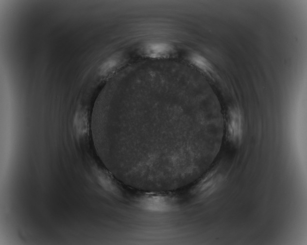 X0000084540620200703021445