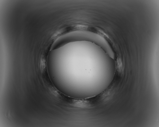 X0000084540621200703021445