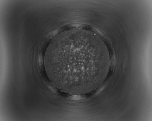 X0000084540623200703021445