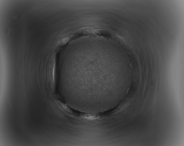 X0000084540624200703021445