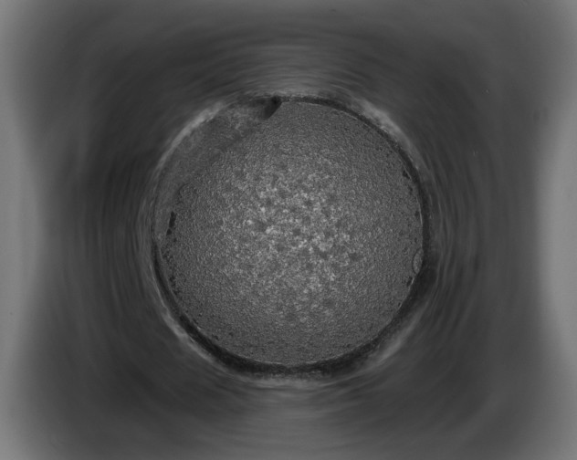 X0000084540625200703021444