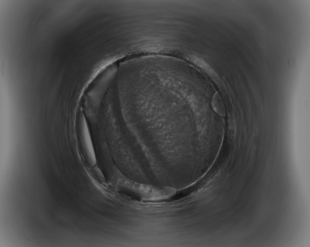 X0000084540626200703021444