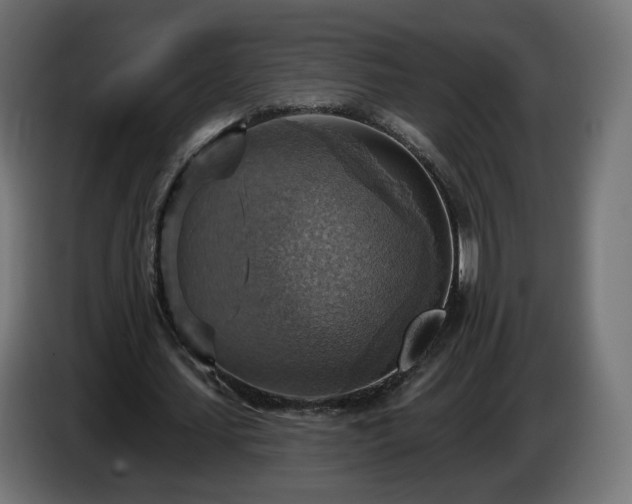 X0000084540627200703021444