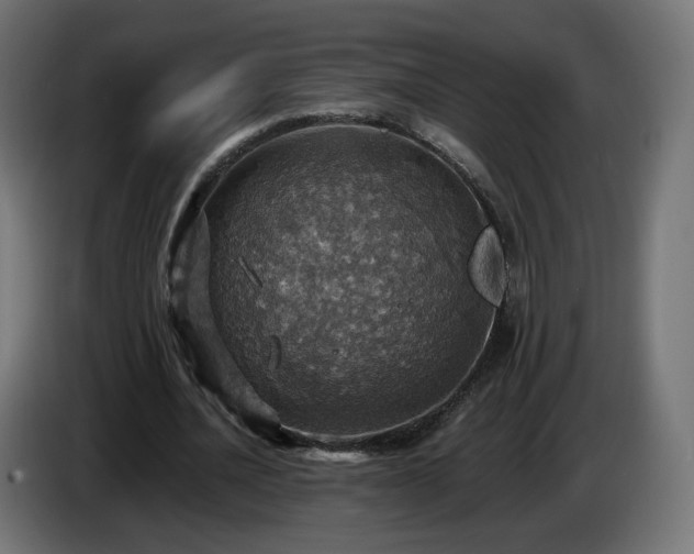 X0000084540628200703021444