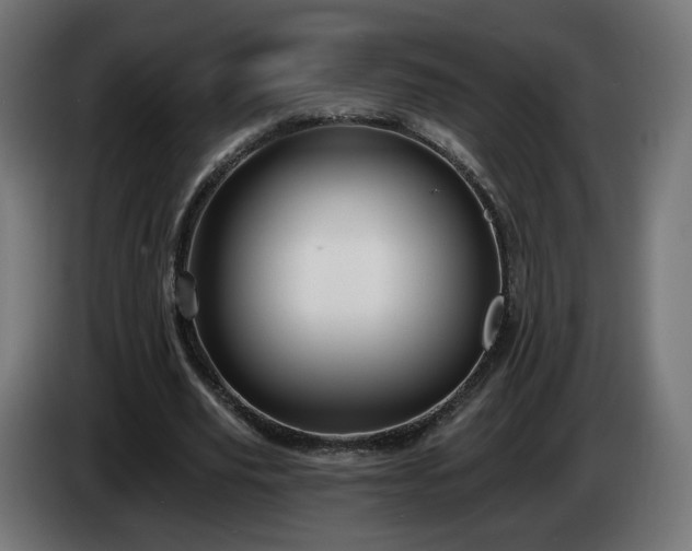 X0000084540629200703021444