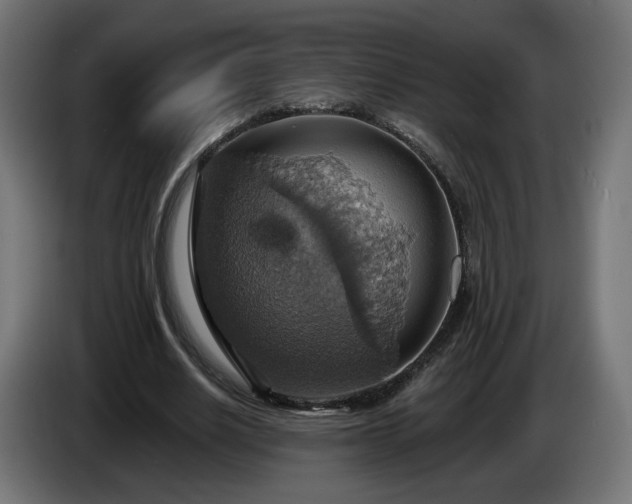 X0000084540630200703021444