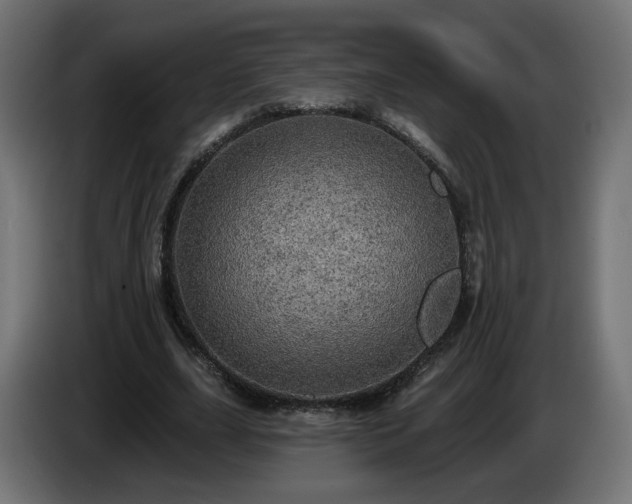 X0000084540631200703021444