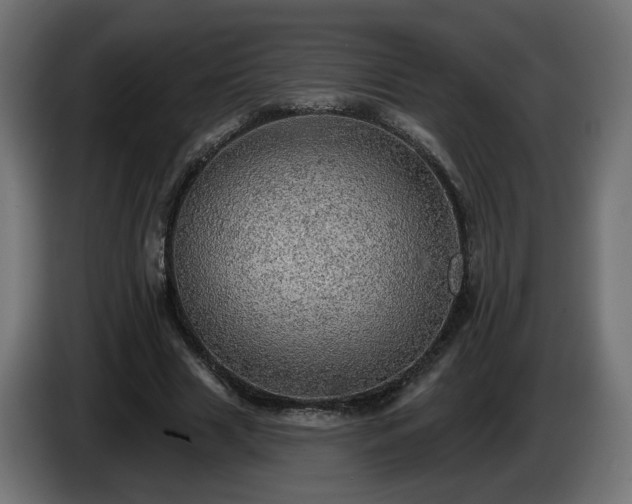 X0000084540633200703021444