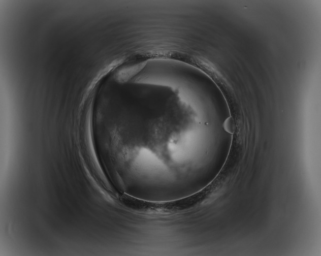 X0000084540634200703021444