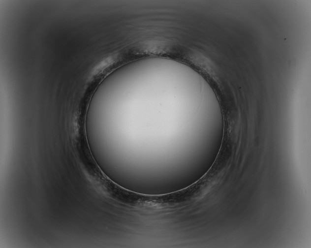 X0000084540635200703021444