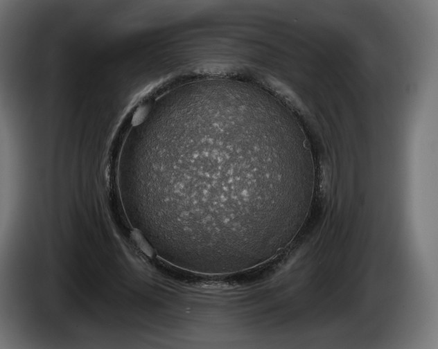 X0000084540636200703021444