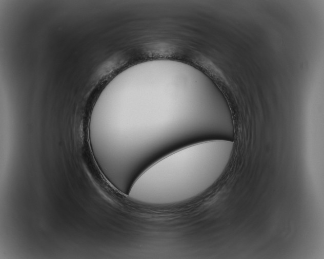 X0000084540638200703021445