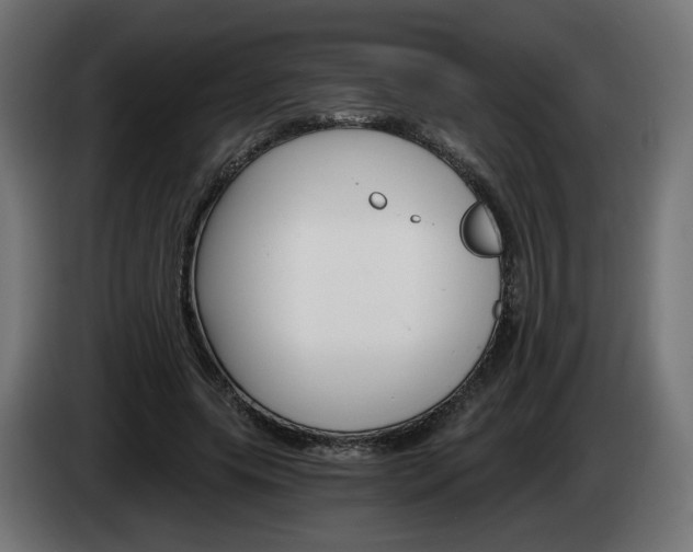 X0000084540639200703021445