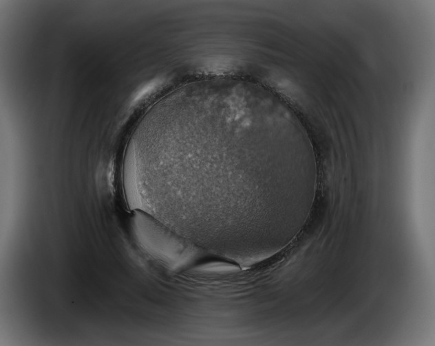 X0000084540640200703021445