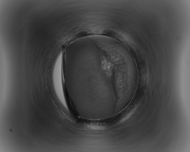 X0000084540641200703021445