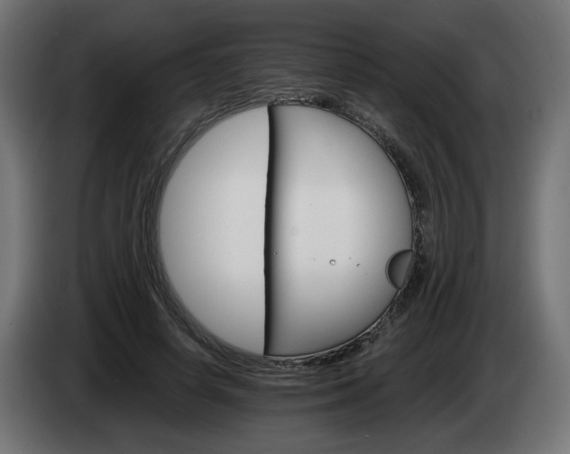 X0000084540642200703021445