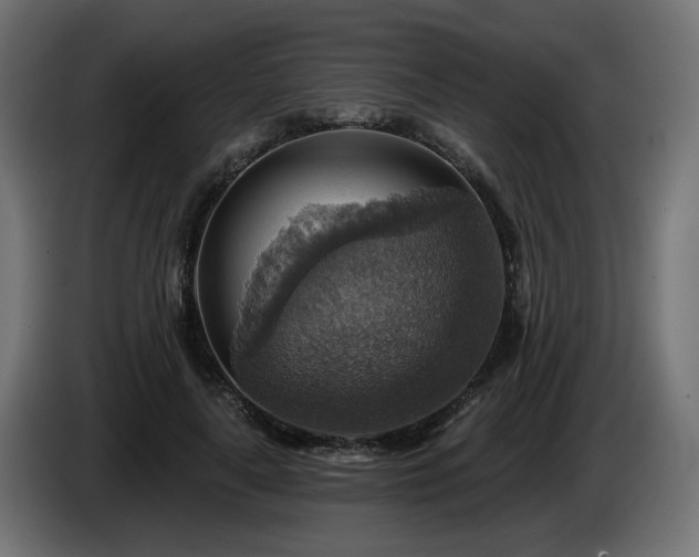 X0000084540643200703021445