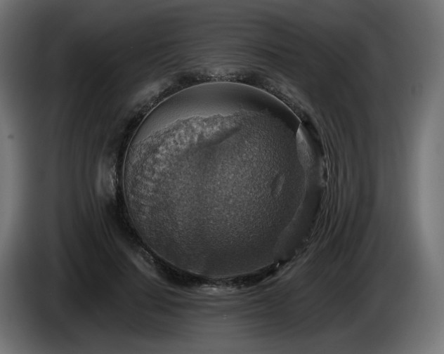 X0000084540644200703021445