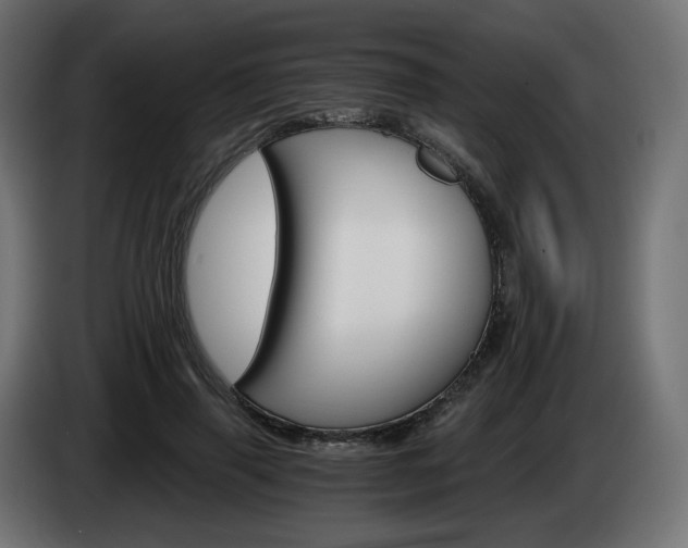 X0000084540645200703021445