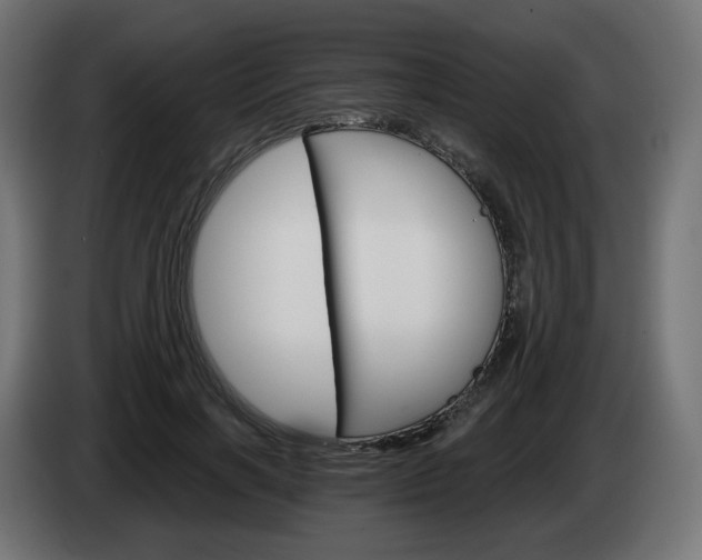 X0000084540646200703021445